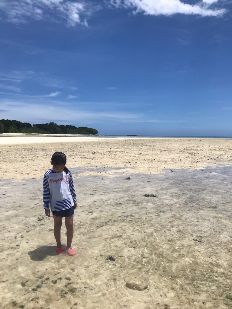 沖縄から台風で帰れない…① 7/30 飛行機欠航の知らせが届く